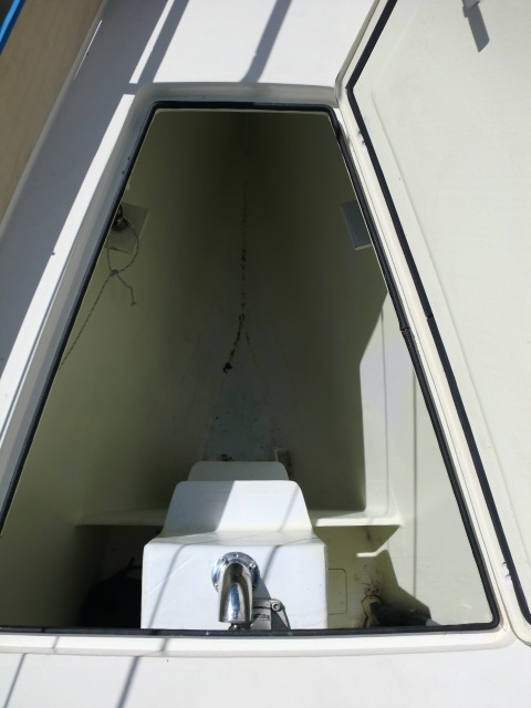 [Immagine: 20124285042_gavone ancora.JPG]